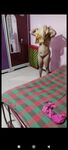 Tamil couples hot photo husband splits