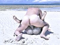 Beach Fucking with Pornstars Namica Noir and Jason Cane