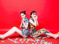 中国母狗胡尔斯和胡尔琪