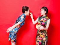 中国母狗胡尔斯和胡尔琪