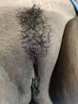Boobs sucking