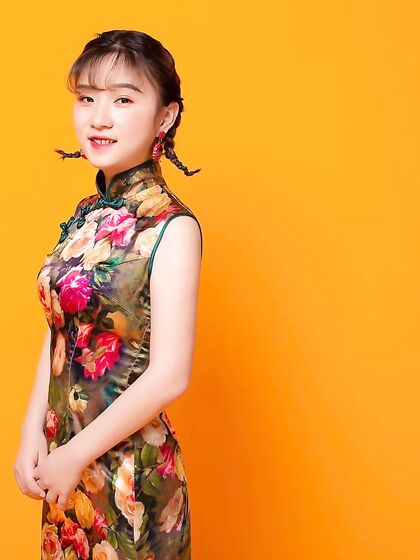 中国母狗胡尔斯和胡尔琪