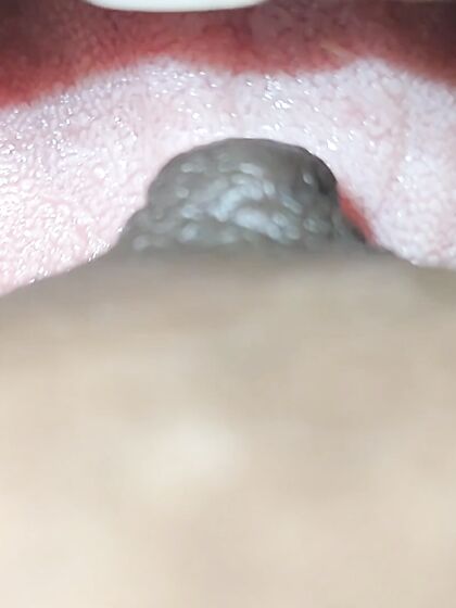 Boobs sucking